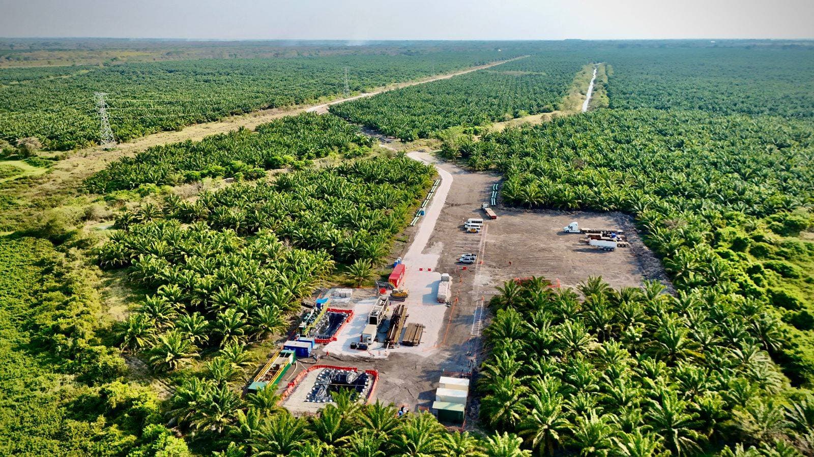 Vista aérea del cruce del Río Coatzacoalcos entre palmares